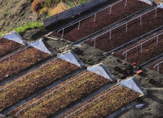La Diputación financia la puesta en marcha de paseros automatizados en Almáchar, El Borge y Moclinejo