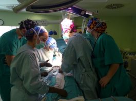 Málaga alcanza los 186 trasplantes de órganos en 2021, un 18,5% más, con 86 donantes