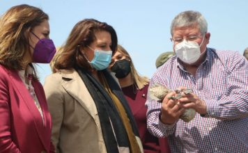 Los humedales de Andalucía registran durante la invernada 819.300 ejemplares de 101 especies de aves