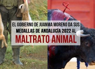 PACMA califica de «broma pesada» la condecoración medioambiental a la Federación Andaluza de Caza