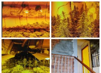 La Junta recupera 17 viviendas con plantaciones de cannabis en el barrio malagueño de La Corta