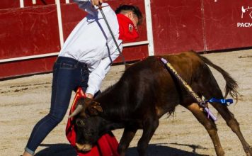 Los auténticos intereses detrás de «20M Rural»