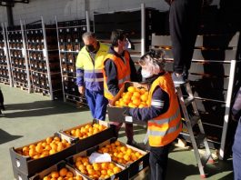 La autorización de la Junta a ASAEC permite que la entidad reparta más de 590.000 kilos de frutas y verduras a familias desfavorecidas