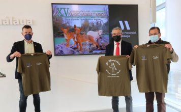 Cuevas de San Marcos reunirá este fin de semana a 4.000 aficionados a la caza en la Monográfica del Podenco Andaluz y Maneto