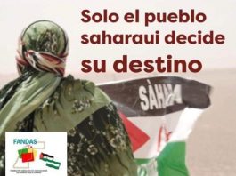 Unidas Podemos solicita a Diputación que apoye la búsqueda de una “solución política justa, duradera y aceptable” para el Sáhara Occidental