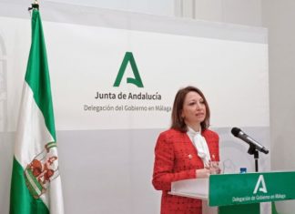 Navarro señala al Gobierno como responsable de concentrar en Málaga los proyectos fotovoltaicos