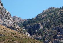En relación con el futuro centro de visitantes en el Paraje de Conejeras del Parque Nacional de la Sierra de las Nieves, Sostenibilidad y Medio Ambiente quiere aclarar que: