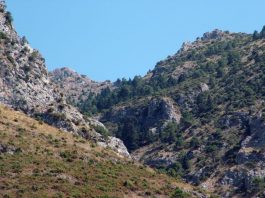 En relación con el futuro centro de visitantes en el Paraje de Conejeras del Parque Nacional de la Sierra de las Nieves, Sostenibilidad y Medio Ambiente quiere aclarar que: