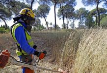 La Junta realizará mañana un simulacro de incendio forestal en Istán