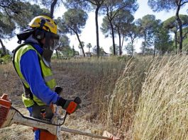 La Junta destaca los 85 millones de euros que destina a prevenir incendios dentro del Plan Infoca
