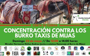PACMA se concentra este domingo contra los burro-taxis de Mijas