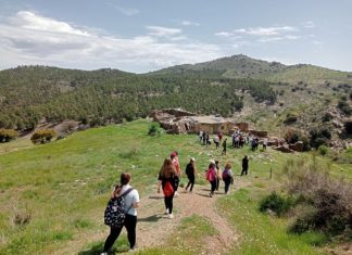 Semana de fotos y medallas verdes