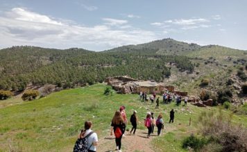 Semana de fotos y medallas verdes