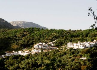 La Diputación dedica un millón de euros para ayudas a agricultores, comercios y establecimientos turísticos de municipios afectados por el incendio de Sierra Bermeja