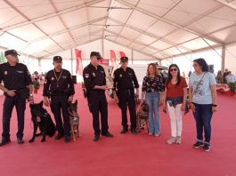 Feria del Perro de Archidona