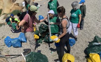 El programa ‘Mares 0,0’ de la Diputación recoge casi una tonelada de residuos en cuatro playas