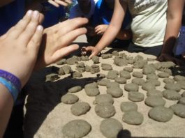 Más de 11.000 bombas de semillas creadas por niños en los talleres del Vivero de la Diputación servirán para recuperar zonas degradadas de la provincia