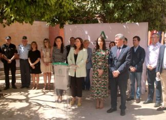 Crespo apuesta por la unión de las instituciones para luchar contra la violencia de género