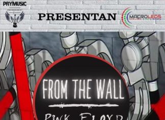 From The Wall, grupo tributo a Pink Floyd