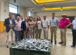 La viceconsejera de Pesca se reúne con las cofradías de pescadores de la provincia de Málaga para analizar los retos de la flota