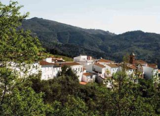 La Diputación abre el plazo para solicitar ayudas a los afectados por el incendio de Sierra Bermeja