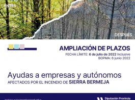 La Diputación amplía hasta el 6 de julio el plazo para solicitar ayudas para los afectados por el incendio de Sierra Bermeja