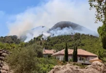 IU pide una “reflexión profunda” en la gestión de los montes públicos ante la situación de emergencia climática