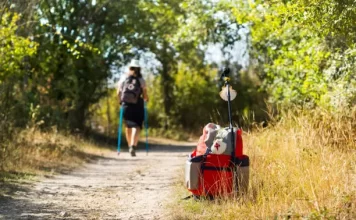 ¿Por qué el Camino de Santiago?
