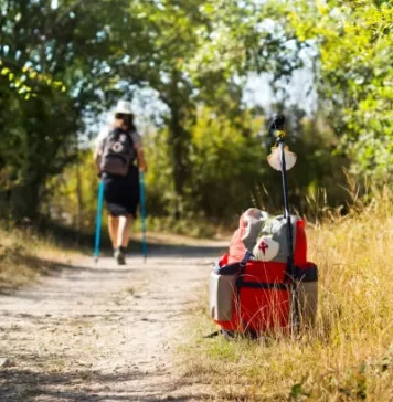 ¿Por qué el Camino de Santiago?