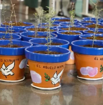 El proyecto ERACIS en stand by