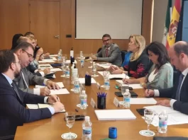 Carolina España avanza que el impacto de la bajada de impuestos en Málaga será de 86,5 millones