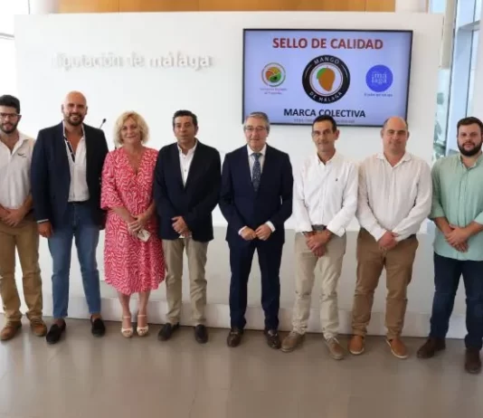 La Diputación impulsa la creación de la marca ‘Mango de Málaga’ para distinguir la calidad en origen de esta fruta cultivada en la Axarquía