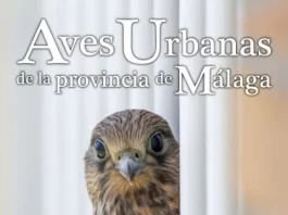 La Diputación celebra el Día Mundial de las Aves Migratorias con un taller en Casares