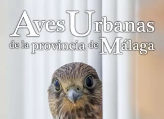 La Diputación celebra el Día Mundial de las Aves Migratorias con un taller en Casares
