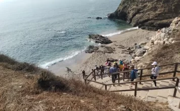 Cerca de 1.800 malagueños participan en rutas por la Senda Litoral para conocer el ecosistema marino de la costa malagueña