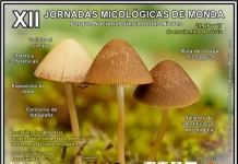 Monda celebra sus XII Jornadas Micológicas con recolección de Setas, Charlas y Ruta de la Tapa