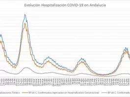 Actualización de datos Covid-19 5 diciembre 2022