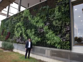 La Diputación instala en su fachada un jardín vertical de 52 metros cuadrados con 3.500 plantas