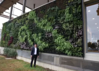 La Diputación instala en su fachada un jardín vertical de 52 metros cuadrados con 3.500 plantas