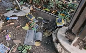 El PSOE exige a De la Torre “garantizar la salud de personas altamente sensibles y mascotas” frente a la detonación de pirotecnia en actos municipales