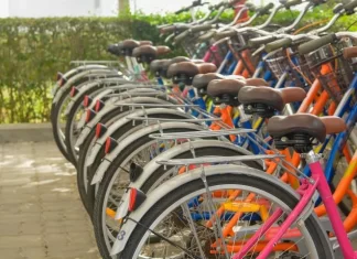 La Diputación diagnostica la movilidad de sus empleados para implementar mejoras en sostenibilidad