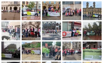 Protestas en todo el país por la inclusión de los perros de caza en la Ley de Protección Animal