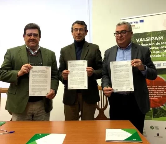 La Junta cede al territorio las herramientas generadas en el proyecto Valsipam de la uva pasa