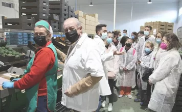 El proyecto ‘Metapueblos, más allá de la ciudad’ de la Diputación propone un ecosistema emprendedor en la Serranía de Ronda y la Axarquía