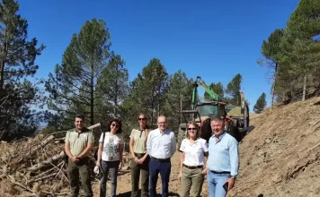 El delegado de Sostenibilidad realiza una visita técnica a las actuaciones de prevención de incendios