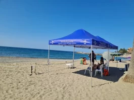 Tortuga boba anida en una playa de Marbella