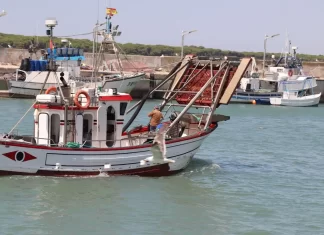 Andalucía resuelve las primeras líneas de ayudas a la pesca por la guerra de Ucrania