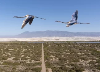 El Ejido también es naturaleza