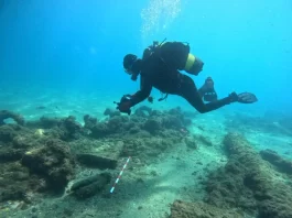 Técnicos del Centro de Arqueología Subacuática analizan los restos de un navío hundido frente a la playa de San Pedro de Marbella