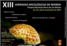 Monda celebra los días 24, 25 y 26 de noviembre sus XIII Jornadas Micológicas